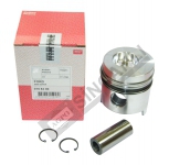 Piston & Ring Assy 0.20 