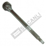 Input Shaft 19 Z