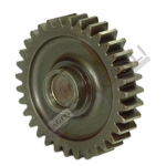 Reverse Idler Gear 31 Z