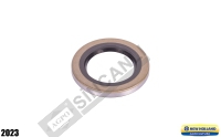 Rear Axle Seal