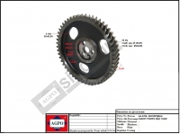 MAZOT POMPA DİŞLİ YILDIZ -52- DİŞ