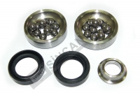 Steering Bearing & Seal Kit For 1 Str Box