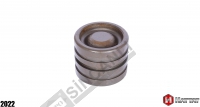 Hydraulic Piston