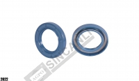 Oil Seal