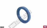 Oil Seal