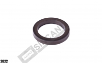 Piston Seal