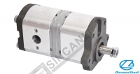 Hydraulic Pump