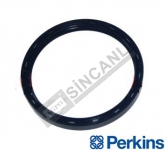 Oil Seal 