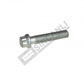 Screw - Crank Shaft Pulley 