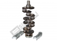 Crankshaft and Bearing Kit 