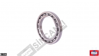 Front Axle Bearing