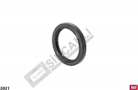 Oil Seal