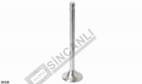 Exhaust Valve