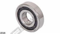 Transmission Bearing