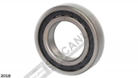 Transmission Bearing Assy