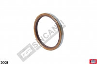 Crankshaft Seal 110x130x13