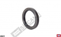 Oil Seal