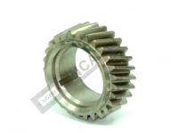 Crank Gear 