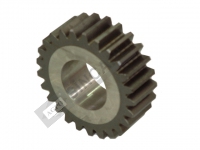 Pinion Gear