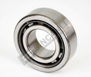 Bearing Assy