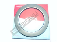 Rear Axle Seal