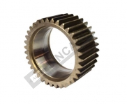 Planetary Gear