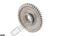 Spur Gear