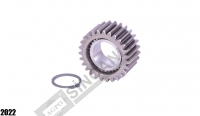 Planetary Pinion Gear Set