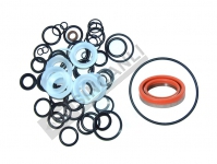 Hydraulic Pump Seal Kit