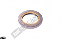 Oil Seal