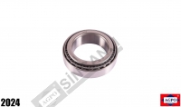 Rear Axle Bearing