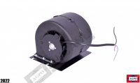 Blower Motor