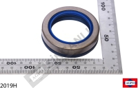 Front Axle Seal