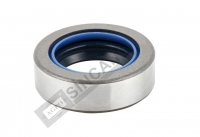 Oil Seal 