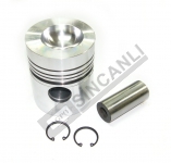 Piston & Pin 4 Chnl. A4.248 Engine 101.54 Mm