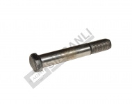 Hex Cap Screw 