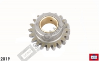 Idler Gear- Oil Pump