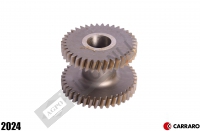 Double Spur Gear