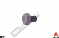 Hex Cap Screw 