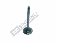 Inlet Valve