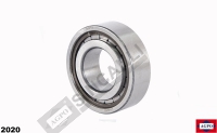 Pinion Bearing (62x30x19 Mm)