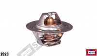 Thermostat 60 C