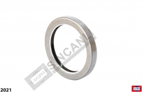 Shaft Seal 100x130x16