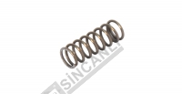 Valve Spring