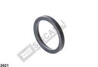 Hydraulic Piston Seal