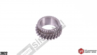 Pinion Gear