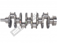 Crankshaft 4 Cyl. Nose:36 mm